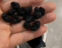 福东海 精选桑葚干500克 无沙黑桑椹干即食桑葚子泡水养生茶滋补品送礼  实拍图
