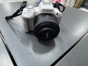 佳能（Canon）佳能r50 入门微单相机 小痰盂人像镜头 Vlog拍摄 4K高清视频 自拍照相 学生旅行家用 扫街旅拍套装 实拍图