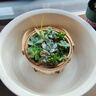 百草园洗脸盆小号32cm塑料盆洗脚盆水盆洗衣内裤盆洗菜加厚透明宿舍儿童 实拍图
