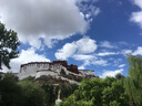 立姿（lizi）医用级护腰带腰间盘突出腰肌劳损腰椎围托术后钢板腰部支撑护具L 实拍图