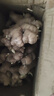 【云南小黄姜】新鲜现挖老姜嫩姜新姜生姜应季蔬菜农家新鲜直发 正宗小黄姜3斤【净重2.8斤】 实拍图