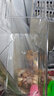 京东京造 擦丝器304切菜神器土豆丝切丝刨丝器厨房烹饪器具配6刀头+护手器 实拍图