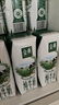 伊利金典纯牛奶整箱 250ml*16盒 3.6g乳蛋白 礼盒装 实拍图