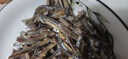哈皮猴长岛海燕鱼干丁香鱼干500g海鲜干货零食咸鱼干小鱼仔 实拍图