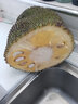 保蓉生鲜水果俱乐部海南菠萝蜜新鲜水果现发精品黄肉菠萝蜜 10-14斤 菠萝蜜 实拍图