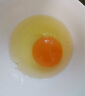 黄天鹅可生食鸡蛋 4枚/单枚53g礼盒装 生鲜鸡蛋早餐源头直发 无抗生素 实拍图
