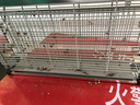 公牛（BULL）定时器插座/电子定时通断电 20组定时器插座/转换器  7天24小时循环 GND-1 实拍图