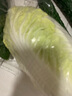 三宝白菜（大娃娃菜）约650g 实拍图