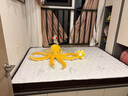 香榭柏兰 椰棕床垫棕垫硬棕榈床垫子 天然乳胶榻榻米床垫定做定制 11CM厚（防螨面料+7cm椰棕+1CM乳胶） 1.35米*1.9米 实拍图