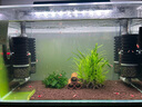 彻朗鱼缸氧气泵静音增氧泵家用鱼缸打氧泵小型加氧泵增氧机5w 实拍图