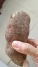 京营海南澄迈桥头富硒地瓜 黄心鸡蛋黄板栗粉糯甜番薯蒸烤红薯新鲜 中小果【5斤净重】 实拍图