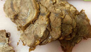 1号会员店 澳洲进口金钱腱  精修原切牛腱子肉 腱子芯 牛肉生鲜 净重2斤 实拍图