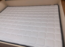 林氏家居天然椰棕床垫软海绵榻榻米单人租房地铺学生加硬棕护脊床垫CD137 【加硬神器】可叠加原床垫用|5cm【快递速达】 900mm*2000mm 实拍图