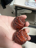迎胤国紫檀木貔貅手把件雕刻健身球保健球文玩按摩球随身手上盘玩把件 实拍图