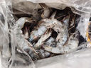 泰鲜达国产大虾 鲜冻白虾大号净重1.5kg 60-75只（40/50规格）虾类生鲜 实拍图