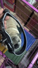 多尼斯（DOGNESS）狗狗牵引绳遛狗绳狗链子项圈中大型犬拉布拉多柴犬金毛边牧 黑L 实拍图