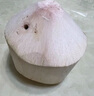 京鲜生 海南椰青 2个装(单果1000g+) 新鲜水果生鲜年货椰子 源头直发 实拍图