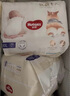 好奇（Huggies）软萌星人柯基拉拉裤拉拉裤婴儿尿不湿XXXL24(17kg以上)婴儿尿不湿 实拍图