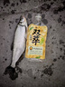 西部风酒米野钓鲤鱼鲫鱼底窝料钓鱼打窝米 老坛维它米2#麝香红大米 实拍图