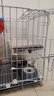 憨憨宠猫笼折叠猫笼子大号猫别墅加粗加密双层猫舍猫窝宠物猫咪用品家用 白色 600双层 实拍图