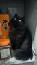 VetWiz新西兰进口辅酶Q10猫咪狗狗宠物专用保护心脏肥大护心猫狗通用 2瓶改善装【养心护心】 进口辅酶Q10【养护心脏】 实拍图