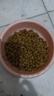 顽皮（Wanpy）果饭儿双拼犬粮添加鸡肉冻干拉布拉多比格宠物食品成犬幼犬专用 【升级款】鸡肉+三文鱼口味-2kg 实拍图