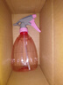 喷壶浇花浇水喷雾器气压式喷水壶家用园艺养花500ml 南瓜喷壶透粉【1个装】 实拍图