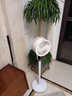 耐也【300平全屋降温丨秒降16℃】电风扇静音卧室超静音一级能效风扇制冷空调扇家用落地扇空气循环扇 【空调级冷风】200m制冷降温-静音恒冷-机械省电 实拍图