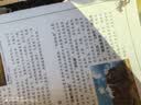 新华书店正版直发 大中华寻宝记系列全套书32册31册宁夏寻宝记6-12岁童书 恐龙世界海南吉林寻宝记大中国福建内蒙古青海科学漫画书中国书籍小学生少儿课外自然科学科普百科书 大中华寻宝记30册【无赠品】 实拍图