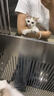 皇家成猫猫粮 营养均衡 F32 通用粮 1-7岁4.5kg*2 实拍图