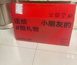 九号（Ninebot）电动平衡车成人L8白色多模式操控10英寸越野轮胎9号平衡车 实拍图