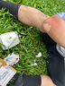 医康臣（UECONCH）应急四件套消毒碘伏棉签创口贴9件装护理包学生一次性棉棒消毒包 实拍图