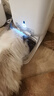 星益生趣（STELLA&CHEWY'S）美国原装进口SC无谷RC冻干涂层全猫粮鸡肉 10lb/4.54kg 效期25.10 实拍图