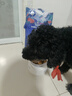 LEGENDSANDY蓝氏狗粮真鲜猎兔中小型犬幼犬成犬生骨肉冻干鲜肉犬粮1.5kg3斤 实拍图