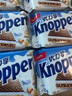knoppers优力享 德国进口 牛奶巧克力威化饼干18片450g 早餐代餐休闲零食 实拍图