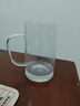 雅集豪饮杯玻璃杯办公室 耐热大容量水杯 男士带盖泡茶杯子850ml 实拍图