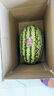 佳沛（zespri）新西兰  阳光金奇异果巨大果22粒原箱 单果重约144-175g 猕猴桃 实拍图