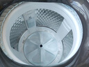 美的（Midea）波轮洗衣机全自动家用 12KG大容量 MB12L7 至高1.25洗净比 精华洗 天沐水流 直驱 以旧换新 实拍图