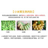 粤迎广西小米蕉新鲜香蕉香芭蕉香产地直发甜粉糯现摘现发芭蕉粉蕉自然 净5斤精选果【粉糯香甜】 实拍图