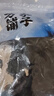 方家铺子中华老字号 短海带头120g 精选海带头根部10cm 特厚叶片 凉拌煲汤 实拍图