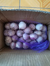 玉燕妃云南正宗新鲜紫皮独头大蒜独蒜干蒜 农家露天自种助农生鲜蔬菜 2.5-3cm紫皮独头干蒜净重 2斤 实拍图