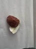 阿甘正馔椰子脆块小椰肉58g 海南特产休闲零食代餐果干椰子果肉片网红零食 实拍图