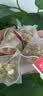 参庆堂国药药材三花茶 金银花菊花茉莉花茶50g 独立茶包 搭去火清热解毒 实拍图