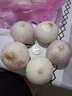 云南紫皮独头蒜2025新鲜干蒜独蒜头调味农家自种生鲜蔬菜 2斤 独头蒜 独头蒜大果【3-3.5cm】 实拍图
