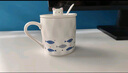 瓷魂陶瓷马克杯子咖啡杯 可爱小猫幻想鱼带盖勺水杯380ML 一群鱼 实拍图