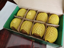 佳沛（zespri）新西兰   阳光金奇异果 8个装 超大果单果重约173-204g 猕猴桃 实拍图