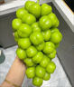 京营觅选阳光玫瑰葡萄晴王香印提子 当季新鲜时令新鲜水果中秋水果 净重2.5斤单粒9-15g 山西阳光玫瑰葡萄 实拍图