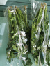 带根香菜100g 实拍图