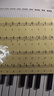 美科（Meirkergr）MK-2100白色智能版+琴架 智能亮灯61键钢琴键多功能电子琴连接话筒耳机U盘手机pad带琴架 实拍图