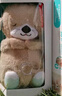费雪（Fisher-Price）婴儿玩具安抚玩偶哄睡生日礼物-音乐安抚酣睡小水獭GHL41 实拍图